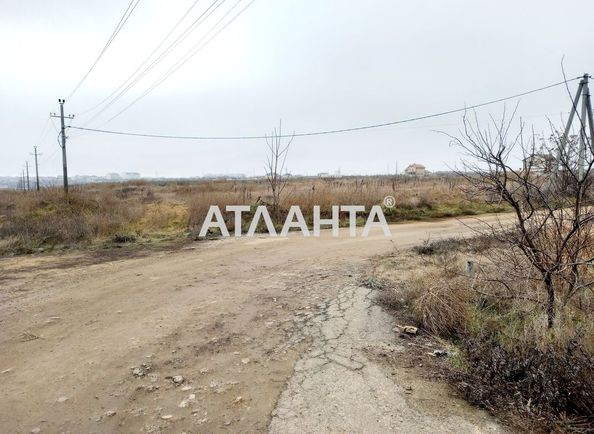 Landplot by the address st. Massiv 21 (area 5,3 acr) - Atlanta.ua - photo 4