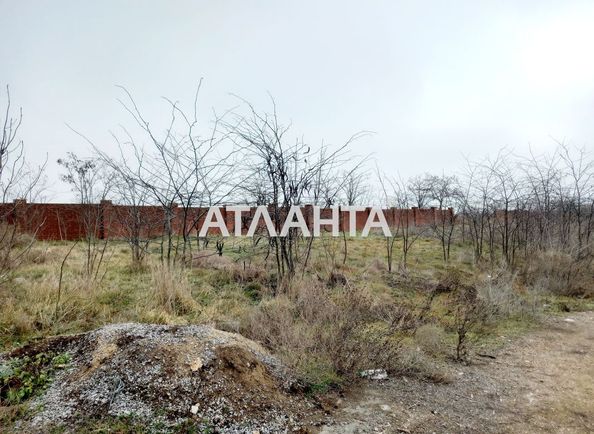 Landplot by the address st. Massiv 21 (area 5,3 acr) - Atlanta.ua - photo 3