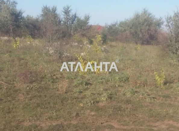 Landplot by the address (area 11,8 acr) - Atlanta.ua - photo 3