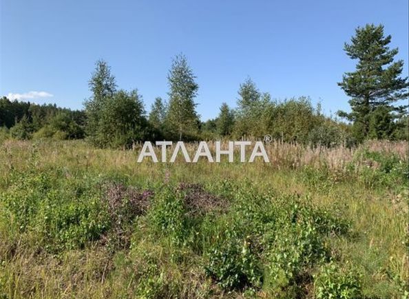Landplot by the address (area 11,8 acr) - Atlanta.ua - photo 5