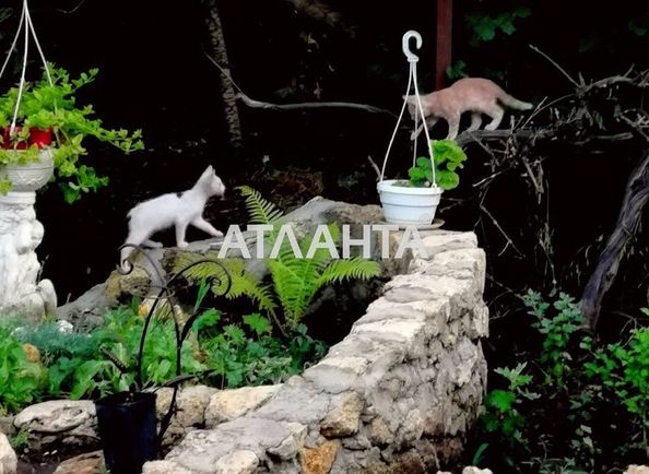 House by the address st. Breusa (area 37 m²) - Atlanta.ua - photo 4
