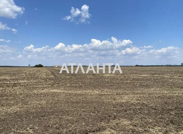 Ділянка за адресою вул. Масив №4 (площа 148,5 сот) - Atlanta.ua