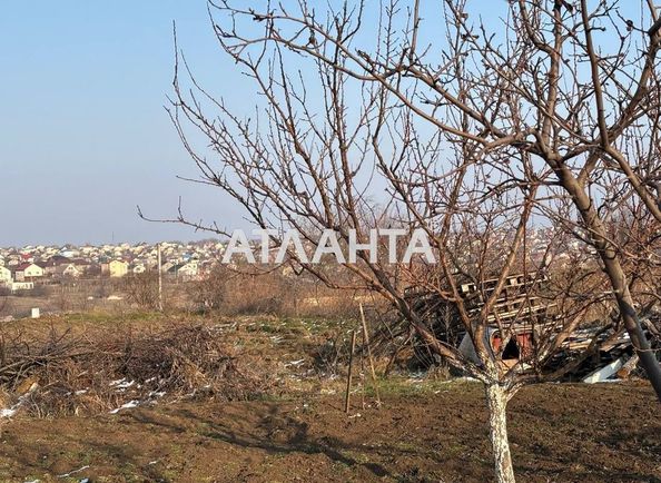 Landplot by the address st. Koltsevaya (area 8 acr) - Atlanta.ua - photo 4
