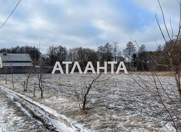 Участок по адресу (площадь 10 сот) - Atlanta.ua