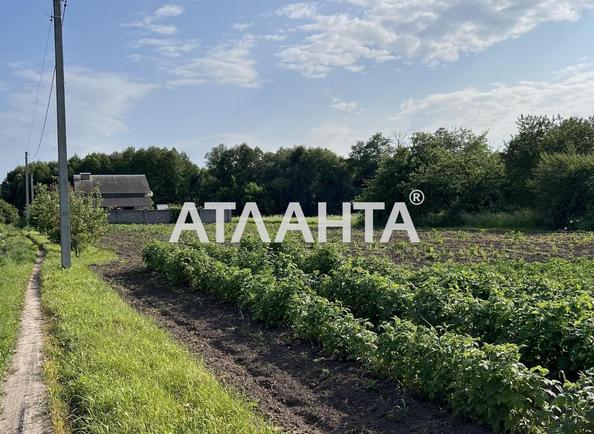 Ділянка за адресою вул. Польова (площа 10 сот) - Atlanta.ua