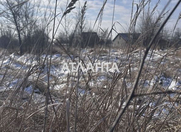 Landplot by the address st. Dachnaya 7 ya (area 10 acr) - Atlanta.ua - photo 2