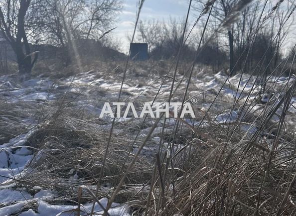 Landplot by the address st. Dachnaya 7 ya (area 10 acr) - Atlanta.ua - photo 4