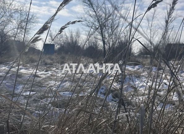 Landplot by the address st. Dachnaya 7 ya (area 10 acr) - Atlanta.ua - photo 7