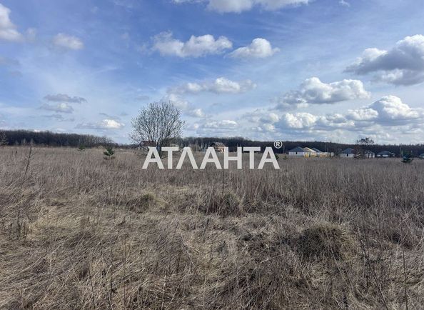 Участок по адресу (площадь 10 сот) - Atlanta.ua