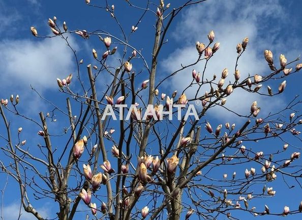 House by the address st. Lemkovskaya (area 360 m²) - Atlanta.ua - photo 11
