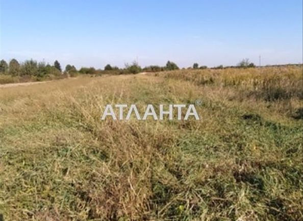 Landplot by the address st. Vozrozhdeniya (area 10 acr) - Atlanta.ua - photo 4