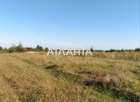 Landplot by the address st. Vozrozhdeniya (area 10 acr) - Atlanta.ua - photo 5