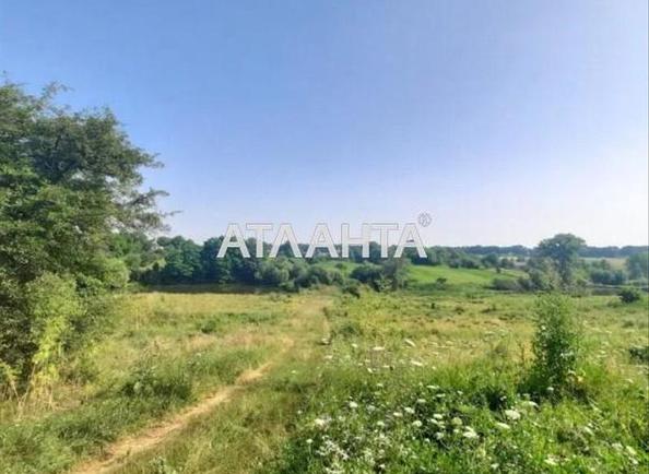 Участок по адресу ул. Молодёжная (площадь 15 сот) - Atlanta.ua - фото 7