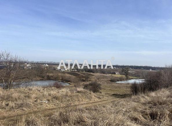 Участок по адресу ул. Молодёжная (площадь 15 сот) - Atlanta.ua - фото 3