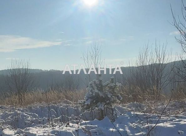 Ділянка за адресою вул. Молодіжна (площа 25,2 сот) - Atlanta.ua - фото 4