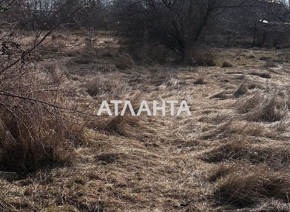 Ділянка за адресою Дачний пров. (площа 10 сот) - Atlanta.ua - фото 5