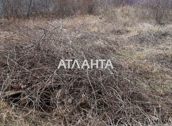 Landplot by the address st. Glinki (area 7,8 acr) - Atlanta.ua - photo 3