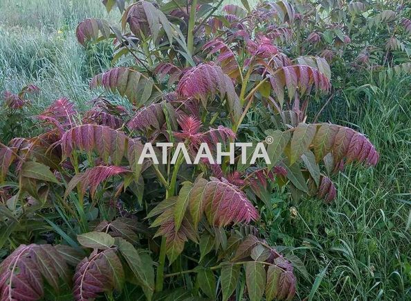 Landplot by the address st. Kurortnaya (area 8 acr) - Atlanta.ua