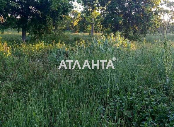 Landplot by the address st. Kurortnaya (area 8 acr) - Atlanta.ua - photo 2