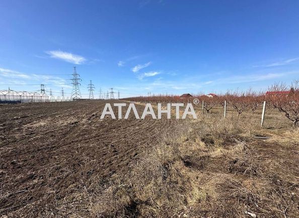 Landplot by the address st. Franko Ivana (area 7,7 acr) - Atlanta.ua - photo 2