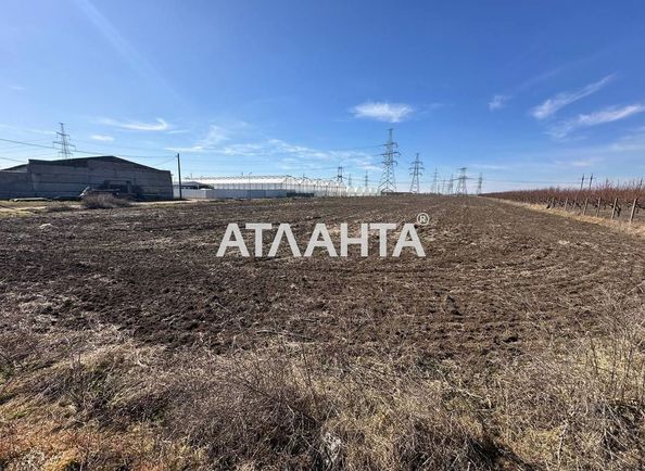 Landplot by the address st. Franko Ivana (area 7,7 acr) - Atlanta.ua - photo 3