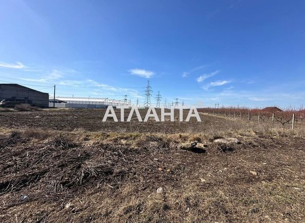 Landplot by the address st. Franko Ivana (area 7,7 acr) - Atlanta.ua - photo 7
