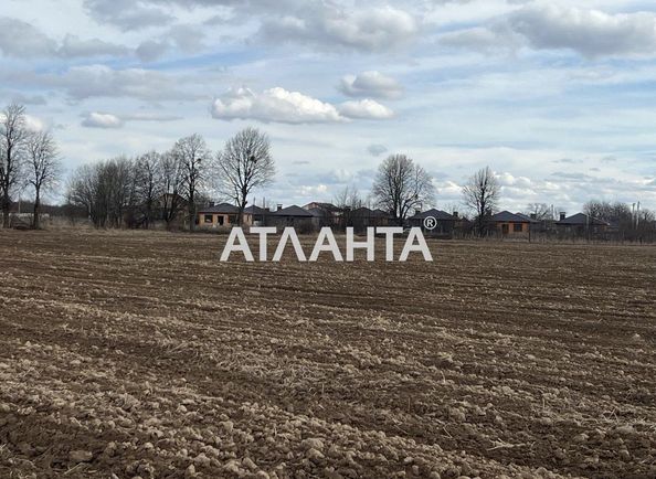 Участок по адресу (площадь 10 сот) - Atlanta.ua