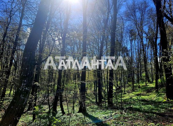 1-комнатная квартира по адресу ул. Лесная (площадь 37,3 м²) - Atlanta.ua - фото 19