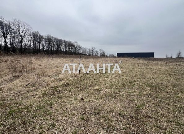 Landplot by the address (area 20 acr) - Atlanta.ua - photo 2