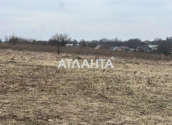 Landplot by the address (area 20 acr) - Atlanta.ua - photo 3