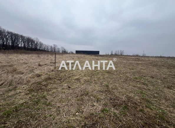 Landplot by the address (area 20 acr) - Atlanta.ua - photo 4