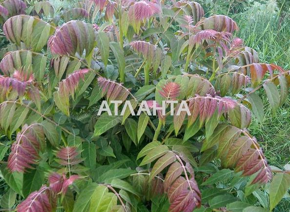 Ділянка за адресою вул. Гаршина (площа 5,6 сот) - Atlanta.ua - фото 3