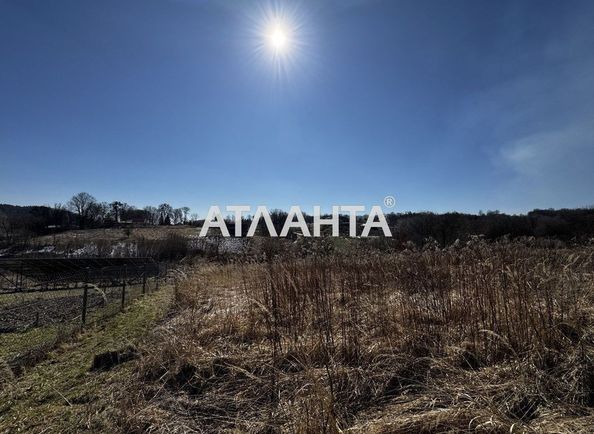 Участок по адресу ул. Тихая (площадь 29 сот) - Atlanta.ua