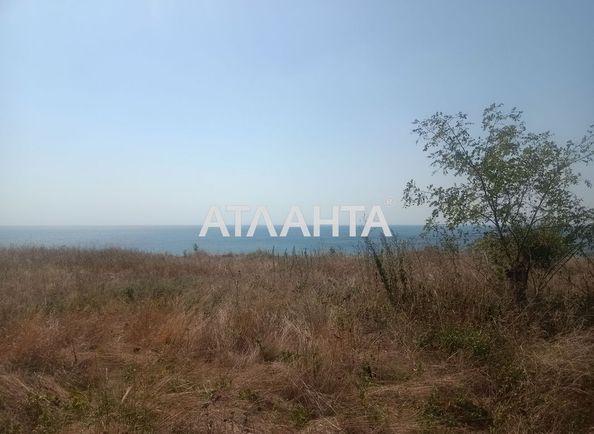 Landplot by the address st. Rozovaya (area 7,3 acr) - Atlanta.ua - photo 3
