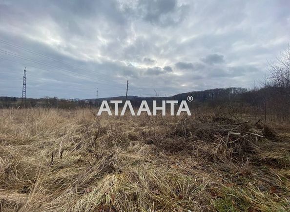 Landplot by the address st. Shashkevicha (area 28,1 acr) - Atlanta.ua - photo 4