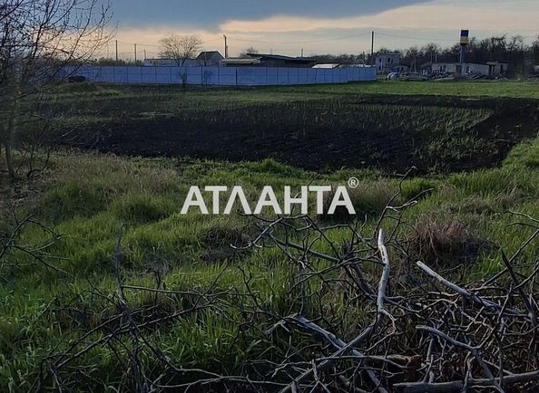 Ділянка за адресою вул. Пшенична (площа 10 сот) - Atlanta.ua - фото 3