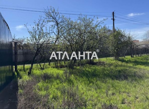 Landplot by the address st. 14 ya liniya (area 6,0 acr) - Atlanta.ua - photo 4