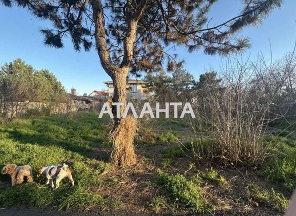 Ділянка за адресою вул. Горіхова (площа 9,3 сот) - Atlanta.ua - фото 6