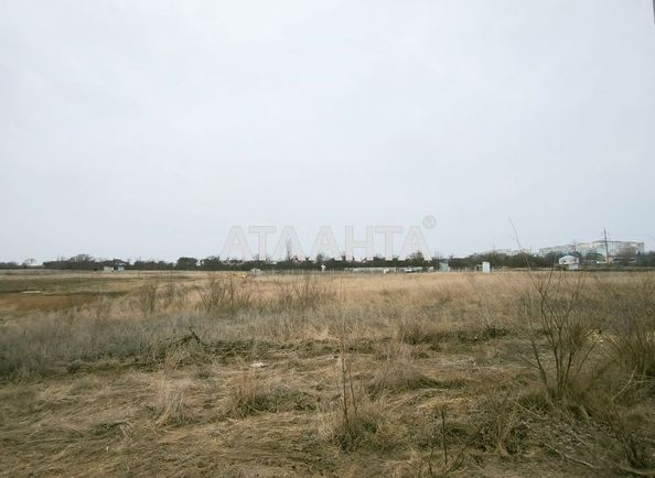 Landplot by the address st. Vasilkovaya (area 10 acr) - Atlanta.ua - photo 3