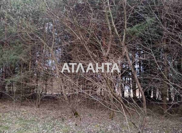 Landplot by the address (area 10 acr) - Atlanta.ua - photo 3