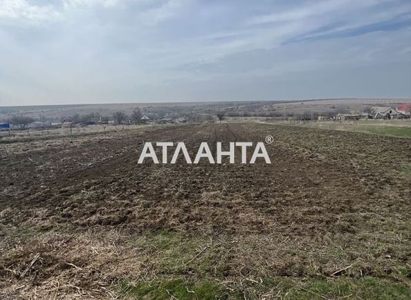 Landplot by the address st. Grushevskogo Mikhaila (area 25 acr) - Atlanta.ua - photo 2