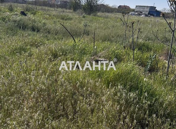 Landplot by the address st. Novaya (area 9,7 acr) - Atlanta.ua
