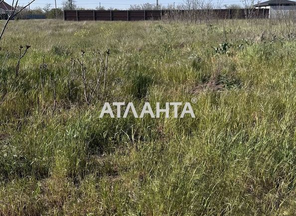 Landplot by the address st. Novaya (area 9,7 acr) - Atlanta.ua - photo 2