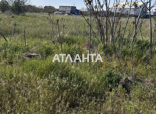Landplot by the address st. Novaya (area 9,7 acr) - Atlanta.ua - photo 3
