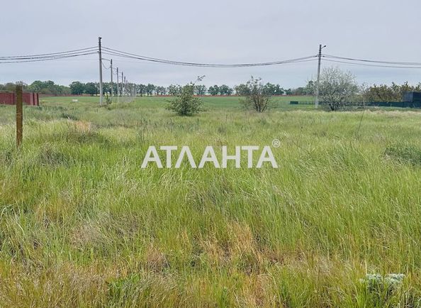 Landplot by the address st. Novaya (area 9,7 acr) - Atlanta.ua - photo 2