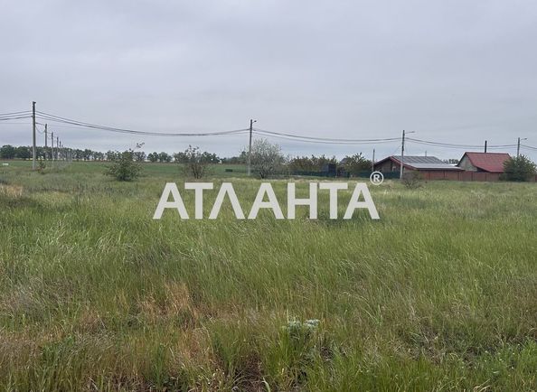 Landplot by the address st. Novaya (area 9,7 acr) - Atlanta.ua - photo 3