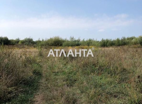 Ділянка за адресою вул. Мудрого Ярослава (площа 7000 сот) - Atlanta.ua