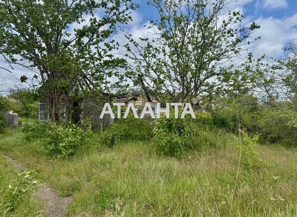 Ділянка за адресою вул. Дружби (площа 16 сот) - Atlanta.ua - фото 4