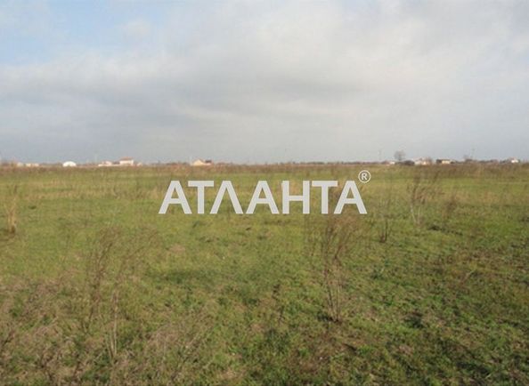 Landplot by the address (area 10 acr) - Atlanta.ua - photo 4