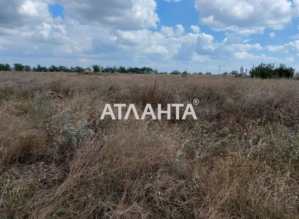 Landplot by the address (area 10 acr) - Atlanta.ua - photo 4